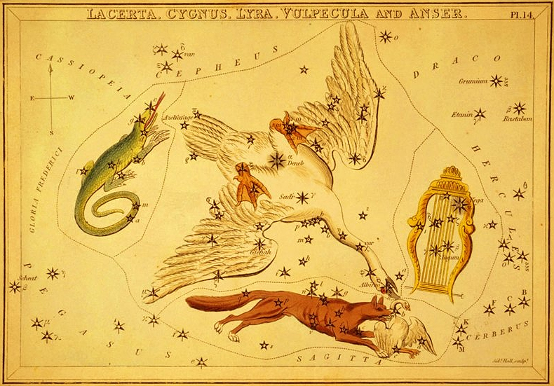 Созвездие Лисички из Атласа "Urania’s Mirror" (London, 1825).