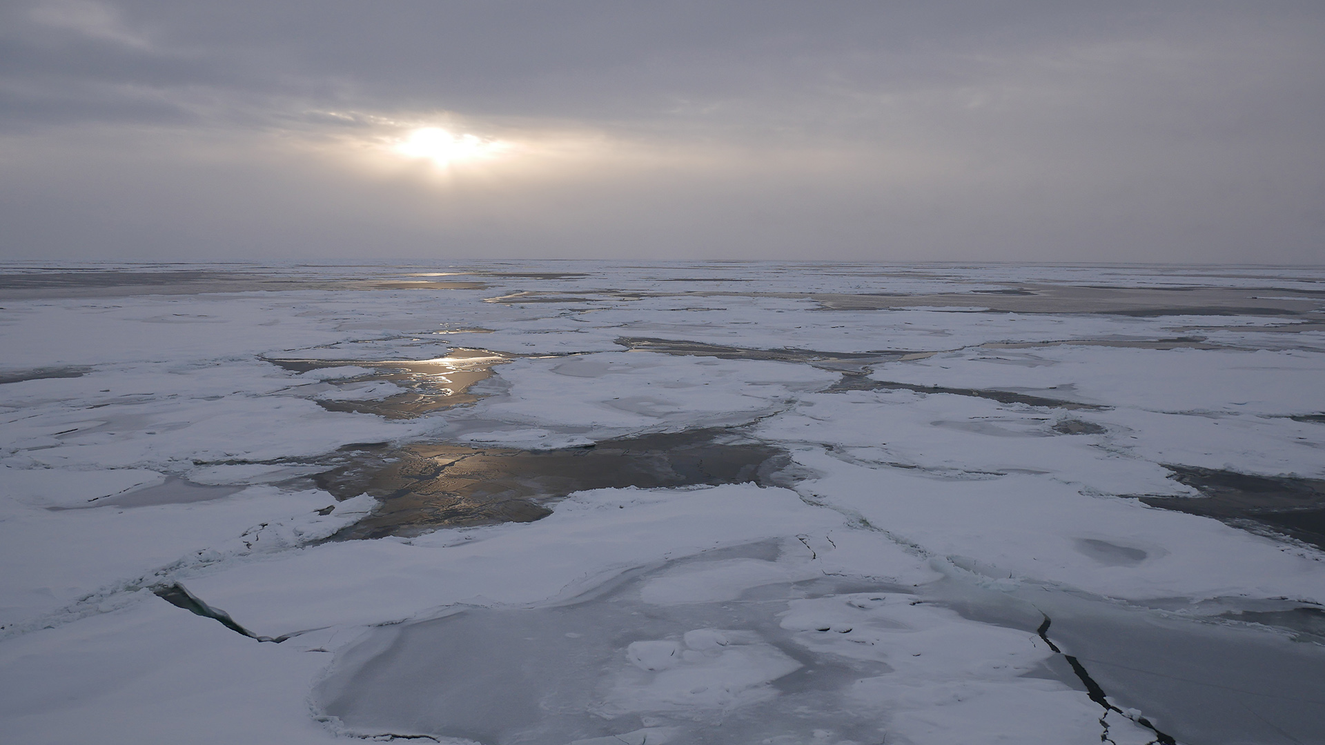 Ученые раскрывают причины ежегодных изменений арктических ледников