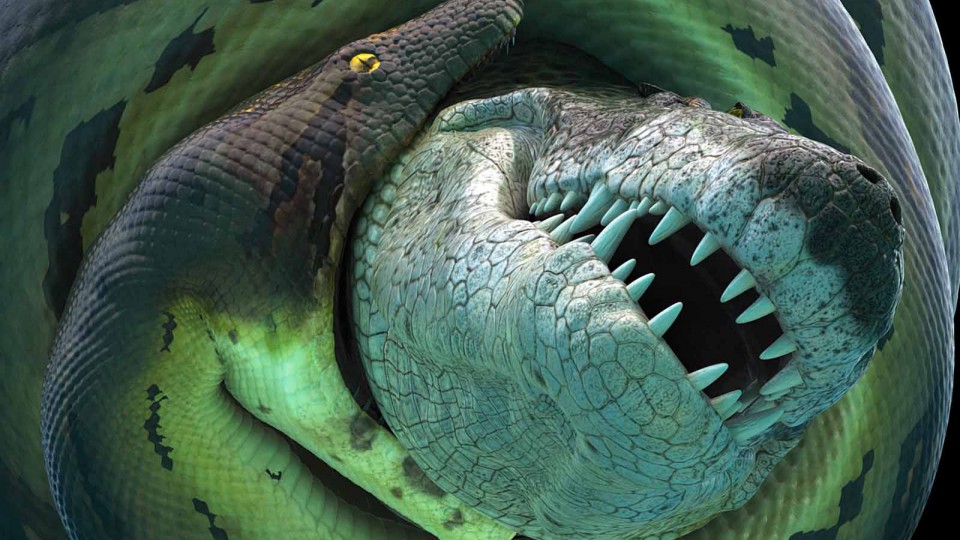 В Индии обнаружены останки гигантской змеи